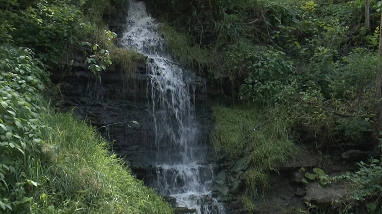 Crews rescue young boy at Albion Falls