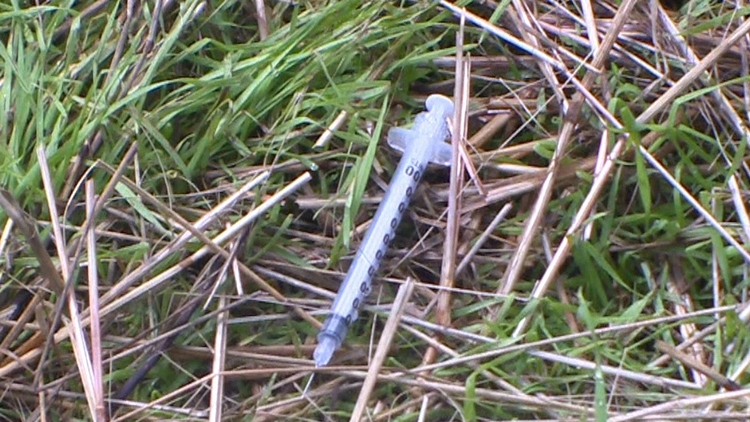 Needles found in St. Catharines park