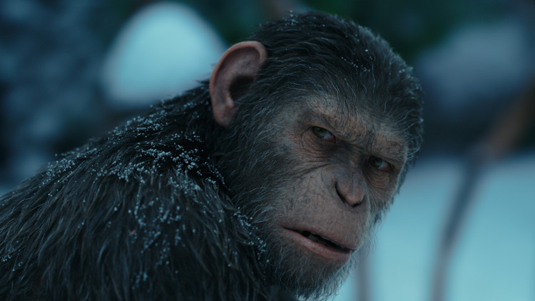 War For the Planet of the Apes