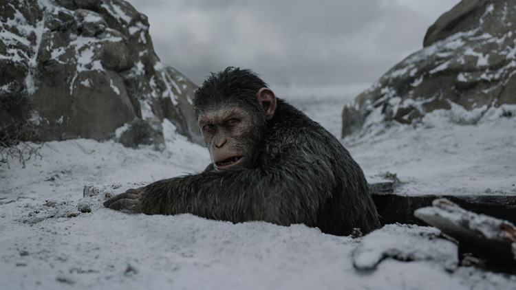 War for the Planet of the Apes