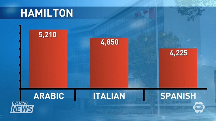 Arabic, the most spoken language after English in Hamilton