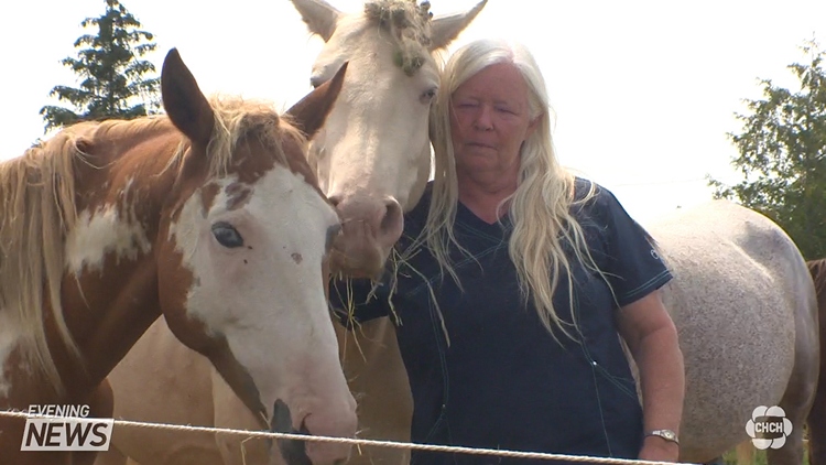 Cayuga house fire leaves animal loving couple without pets and left to sell rescued horses