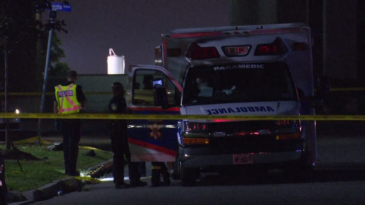 Pedestrian dies after being hit by vehicle in Mississauga