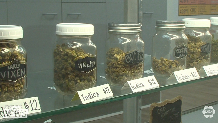 Last day to give input on licensing pot shops in Hamilton