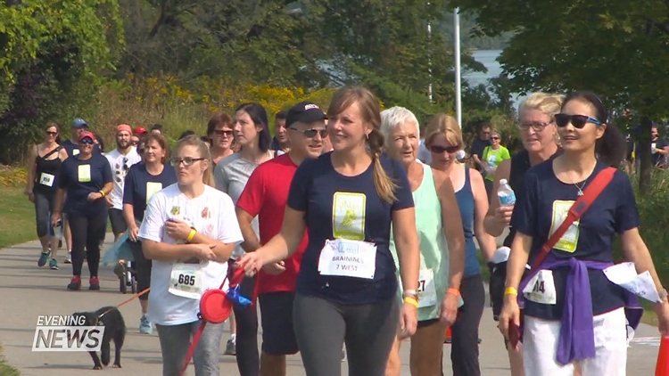 Strides for the General attracts over 700 people