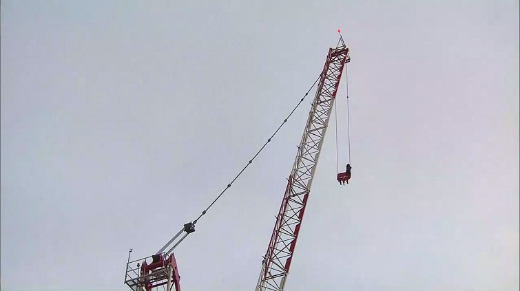 Toronto’s “Crane Girl”gets absolute discharge