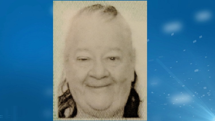 Hamilton Police searching for missing elderly woman