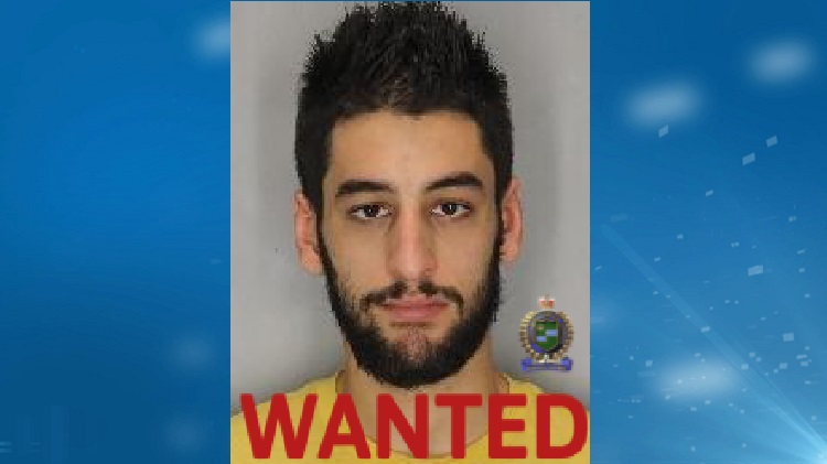 Man wanted in Niagara Falls attack