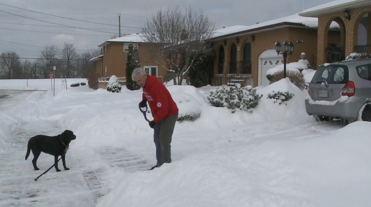 City looking for Snow Angels