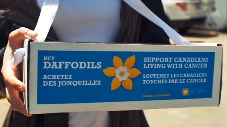 Daffodil Month