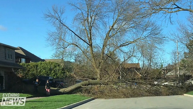 Wind cleanup continues