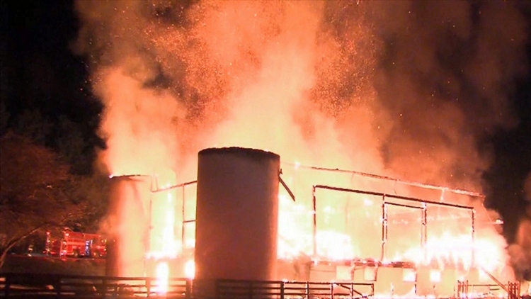 Horses perish in fire at Sunnybrook Stables