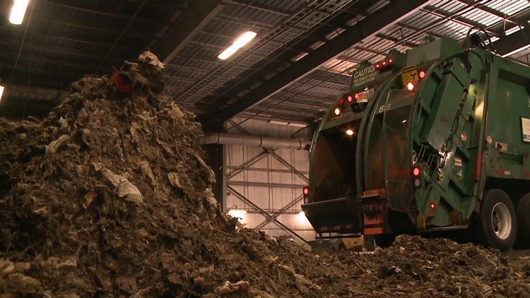 City of Hamilton working quickly to clear out rotting waste