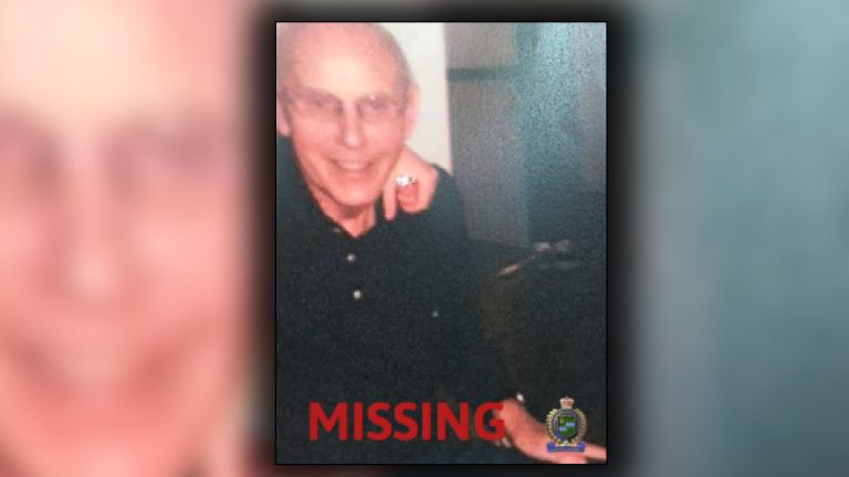 Niagara Police search for missing 87-year-old man