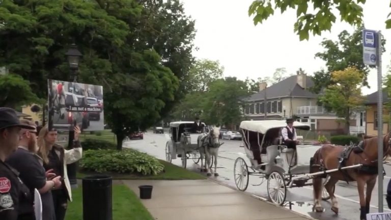 Niagara-on-the-Lake horse showdown