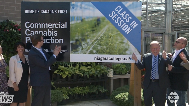 Niagara College’s Commercial Cannabis Program begins