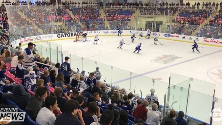 Maple Leafs in Niagara Falls