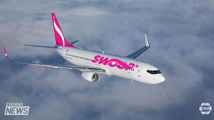 Swoop flights between Hamilton, Las Vegas suspended for 3 months