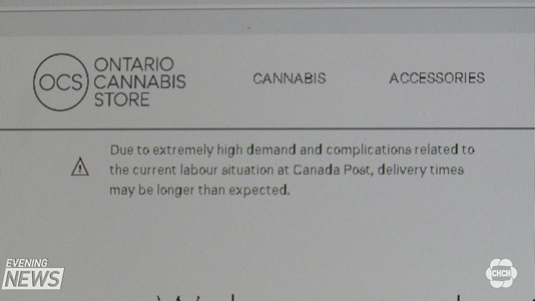 Many Hamilton pot shops are still in business, taking advantage of OCS delays