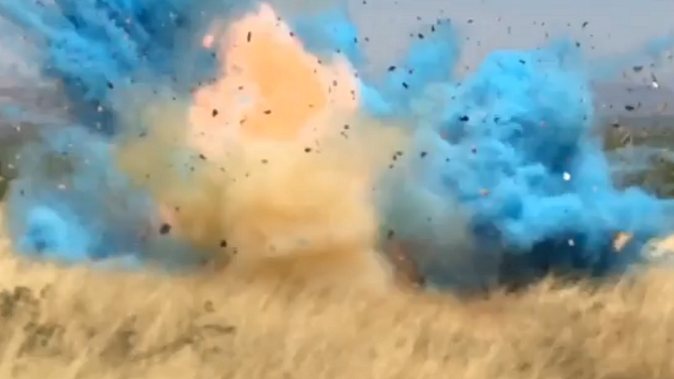 Video shows gender reveal party igniting wildfire in Arizona