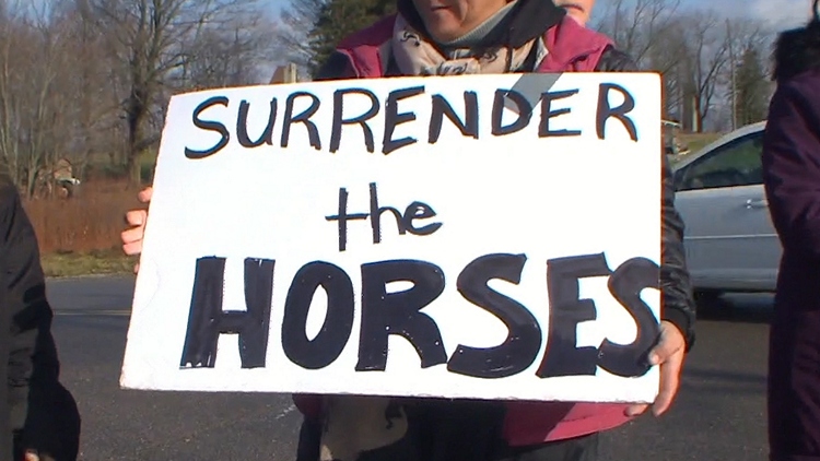 Growing concern for horses at a Waterford farm