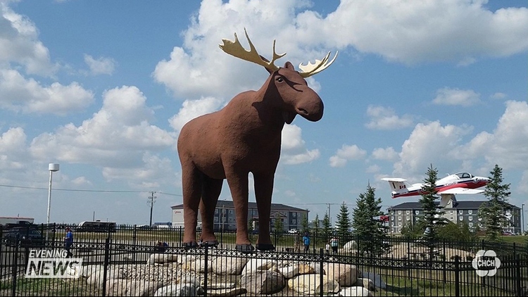 Moose Statue Rivalry