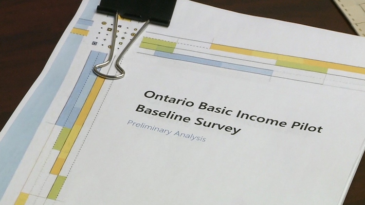 Basic income results