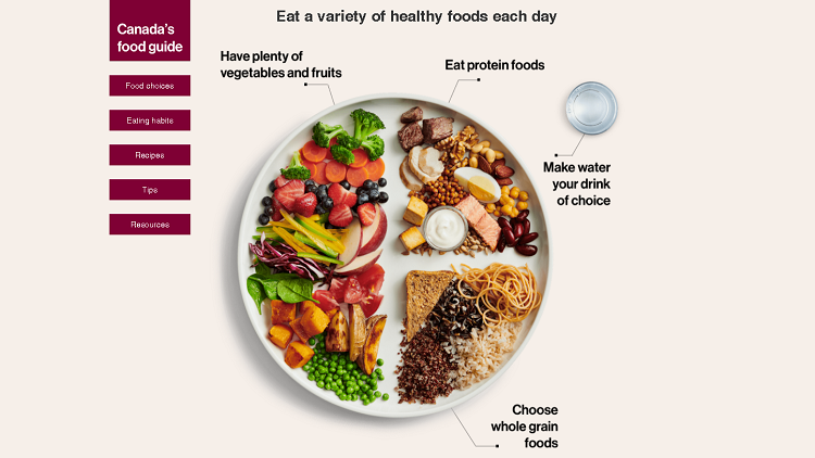 Canada Food Guide promotes plant-based proteins