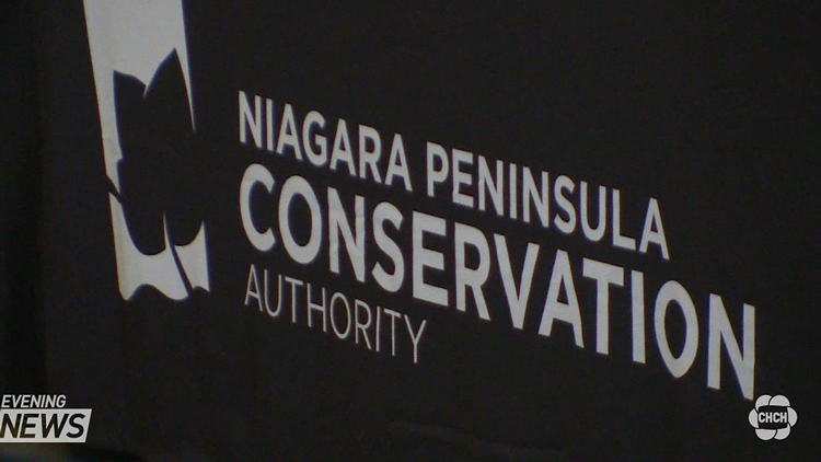 Former Niagara conservation authority suing for wrongful dismissal