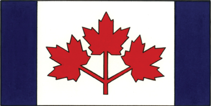It S National Flag Of Canada Day A Look At The Designs That Didn T Make The Cut Chch