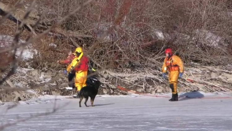 A women and dog rescued from Welland canal