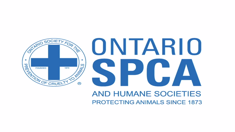 OSPCA tells government it will no longer enforce animal welfare laws