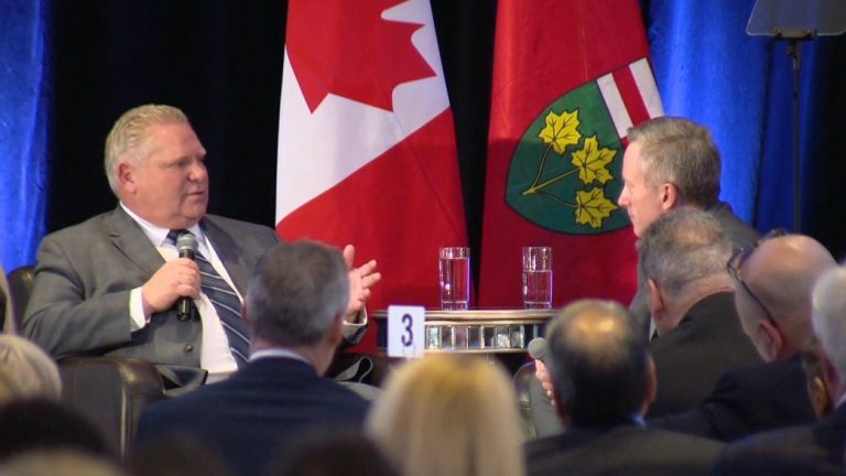 Premier says there are too many politicians in Niagara