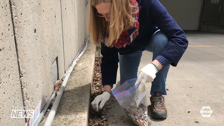 Butt Blitz aims to clean up cigarette butts off the ground