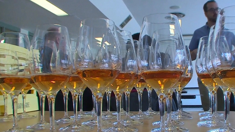 Cider makers across Ontario gather at Brock university to enhance their skills