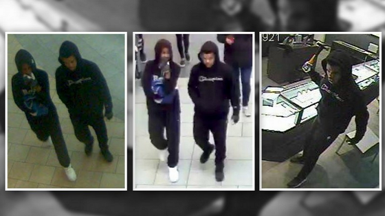 Two suspects sought in attempted robbery at Lime Ridge mall