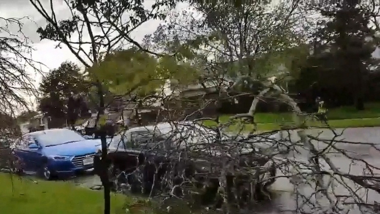 Powerful series of storms ripped up trees and damaged property across parts of Ontario