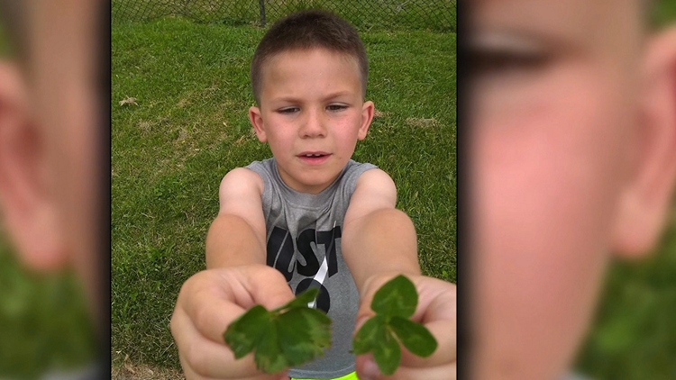 A 6-year-old boy has died after drowning in his backyard pool