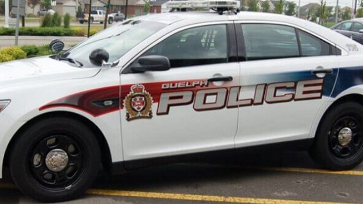 Guelph police investigate after bus driver slapped in the face