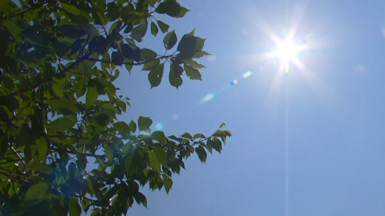 New climate change report says extreme heat days in Ontario will increase