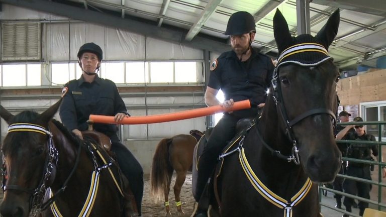 Ontario Mounted Special Service Unit