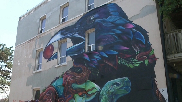 Artists add colour to Hamilton for the Concrete Canvas Festival