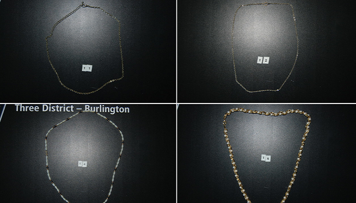 Is this your jewellery? Halton police search for owners of stolen items