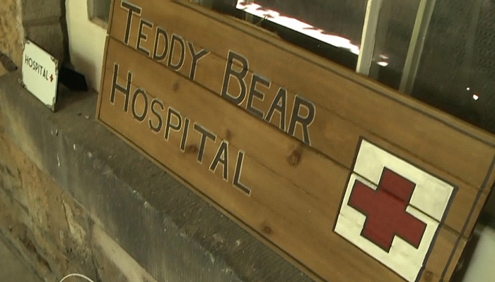 Stuffed animals take over at Teddy Bear’s Picnic in Hamilton