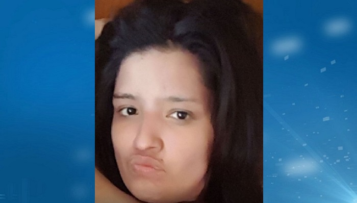 Brantford police search for missing woman