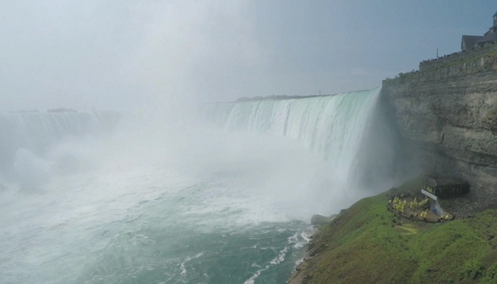 Federal Election: Niagara Falls riding