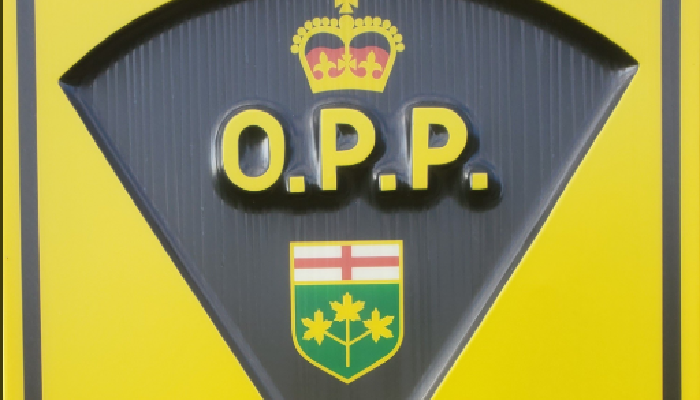 15-year-old charged with mischief after community gazebo damaged: OPP