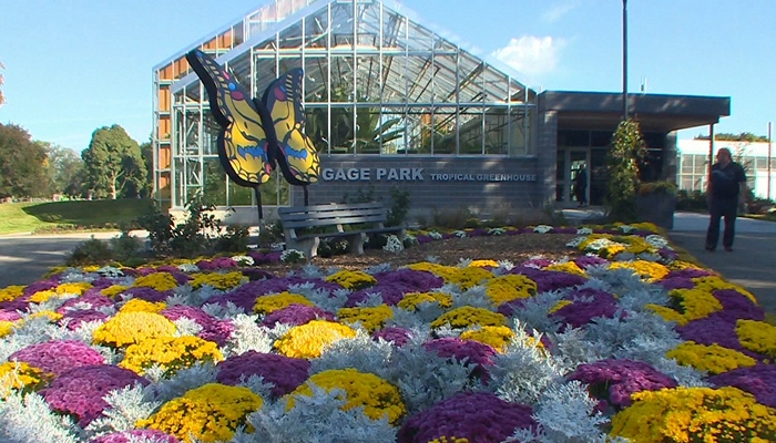 Gage Park’s annual Mum Show