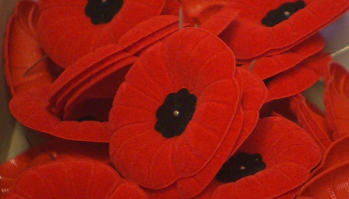 Canadian Legion launches annual poppy campaign with environmental initiatives in mind