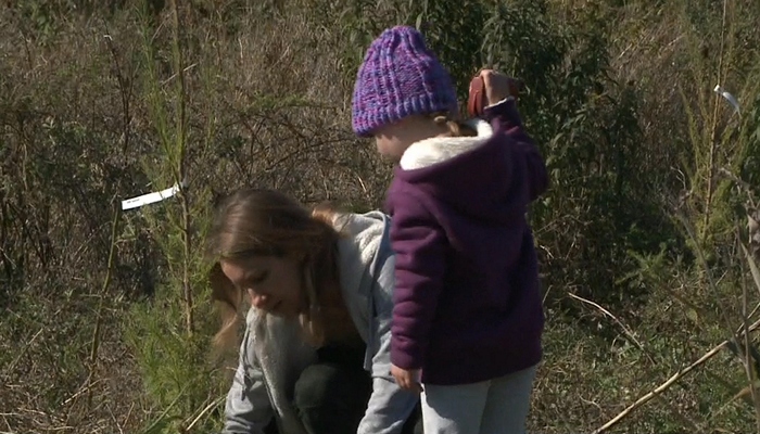 Tree planting initiative in Hamilton’s Windermere Basin